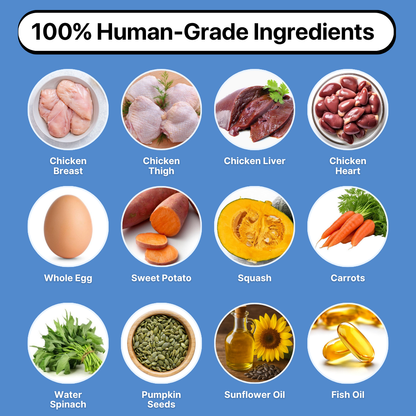 Cody™ Cooked Chicken Frozen Fresh Dog Food 150g