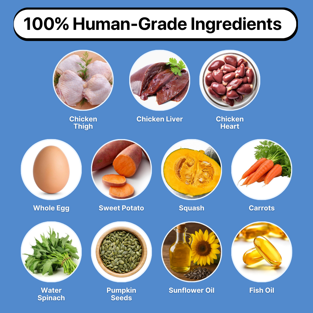 ProAppetite™ Advanced Dog Food Topper 150g